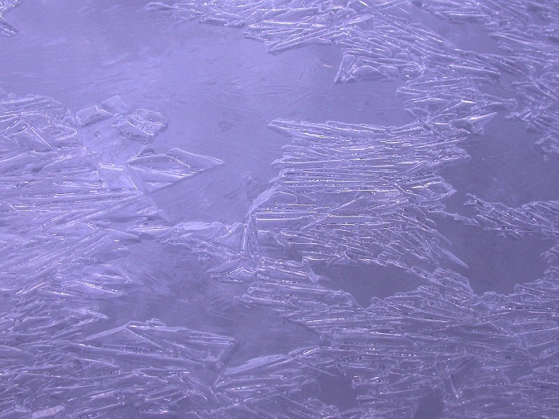 Winter in Bohinj, Slovenia - 15.JPG